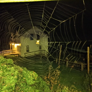 PXL_20210827_011536731.NIGHT.jpg